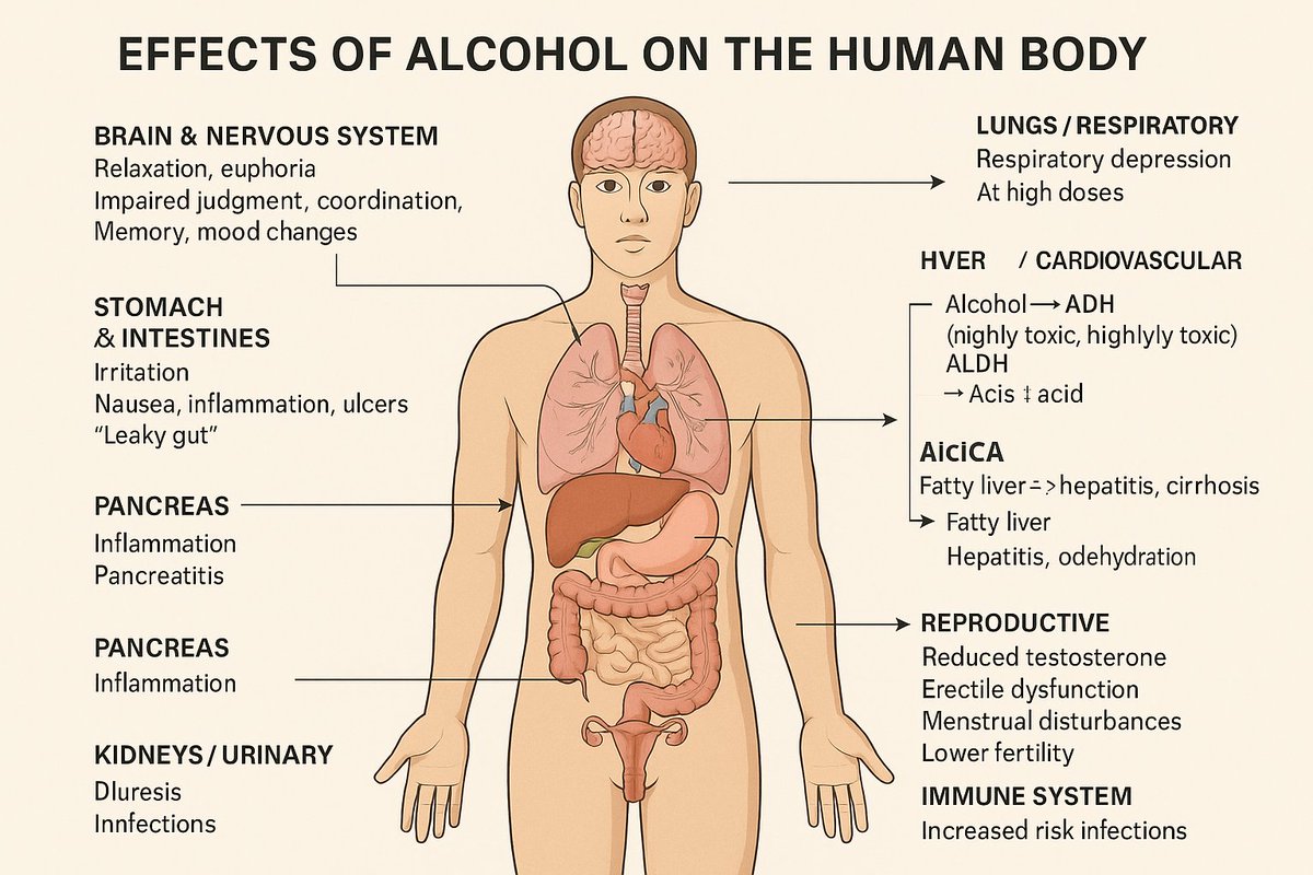 hkk3455's tweet photo. Effect of alcohol https://t.co/66Z55L7HmR