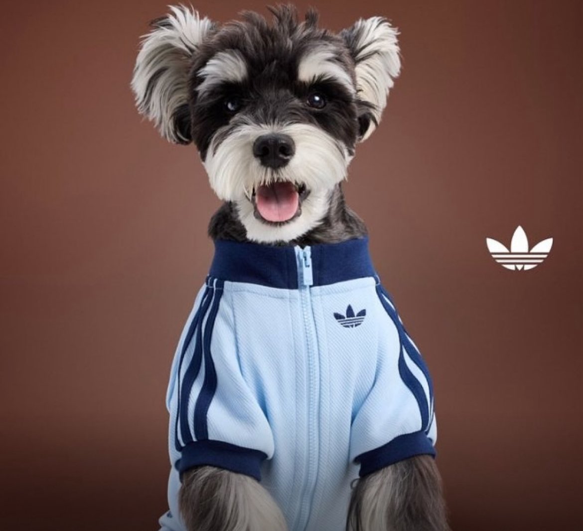 El perrubi de La Cámpora no existe, no puede hacerte daño