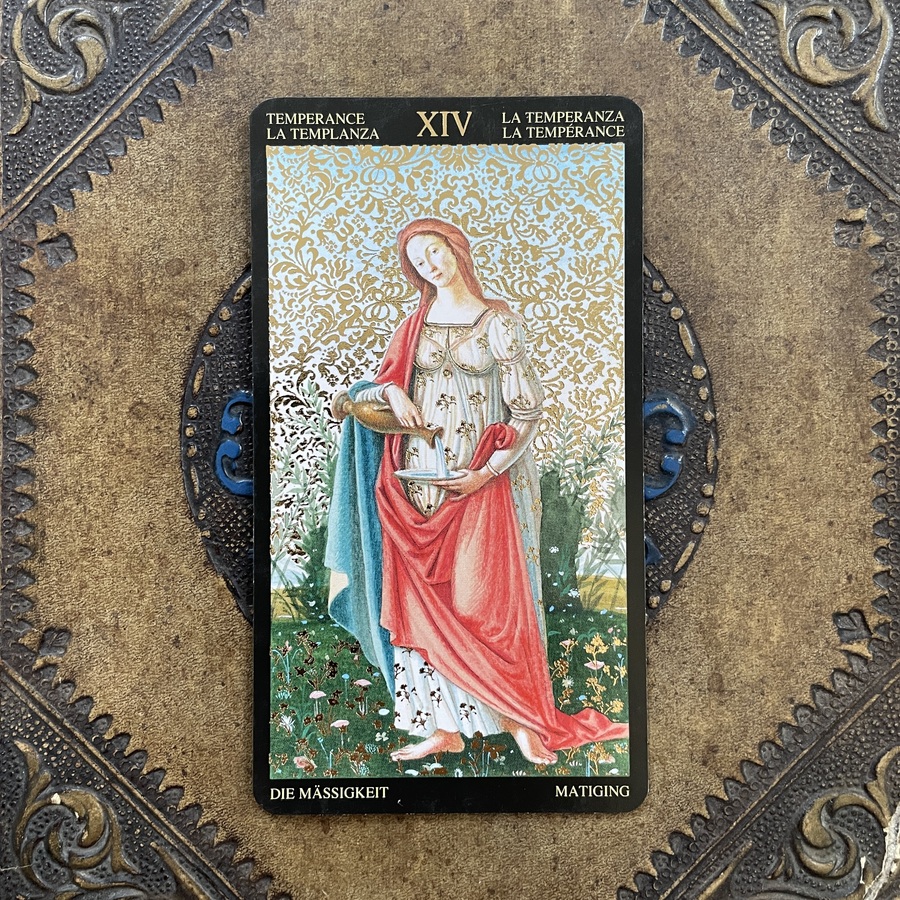 ¿En qué momento has sentido que la curación se convierte en una transformación profunda que te conecta con tu esencia y te invita a redescubrir quién eres realmente?