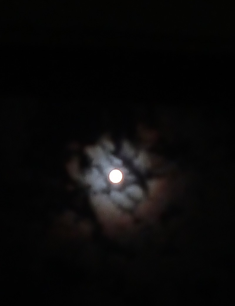 中秋の名月、明日は満月