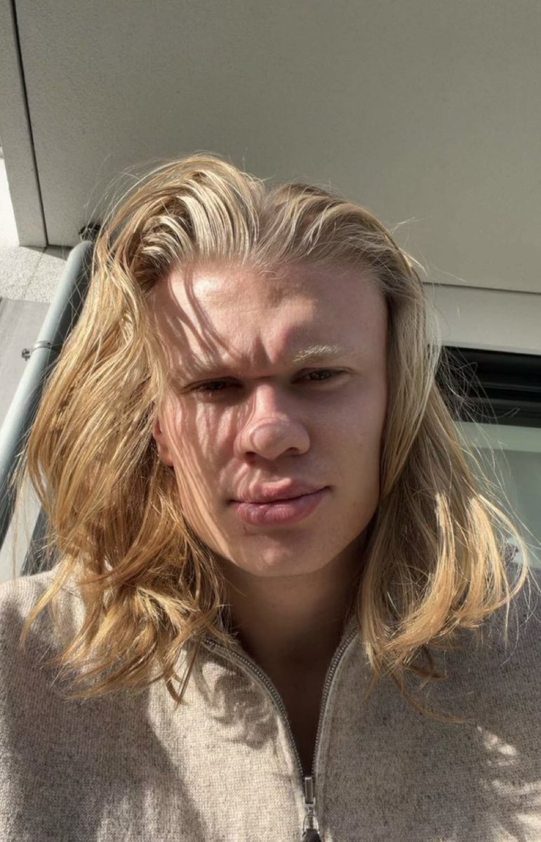 Curiosidades PL tweet media