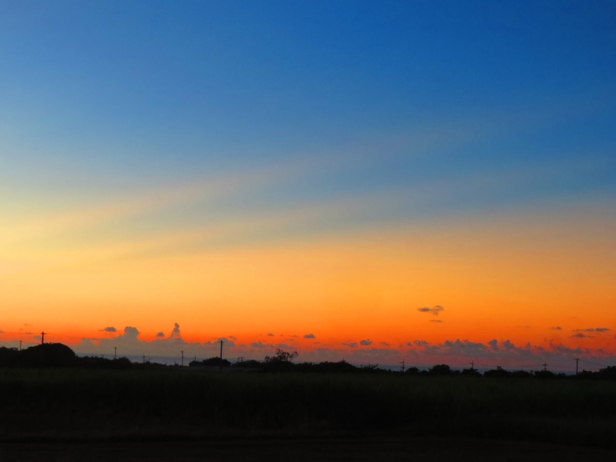 薄明光線　＃石垣島　＃西表カイネコ