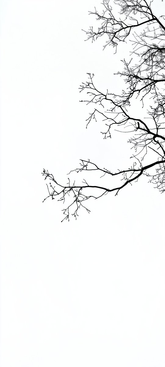 NoCaptionMood's tweet photo. Less. Always more. https://t.co/qHUP5V8OfO