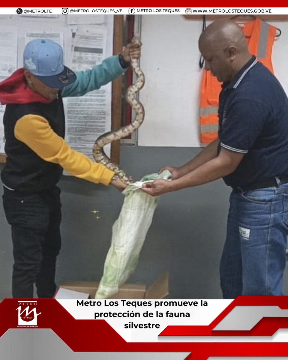 instagram.com/p/DPeDyCODWhg/…