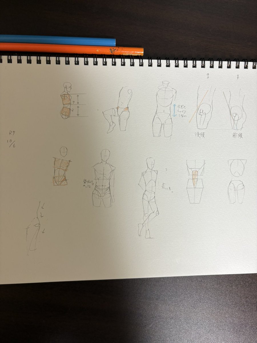 azami_renshu's tweet photo. しっくりくるアタリがない…。全然分かんなくてなんなら男性の骨盤の傾きが女性と違うの今更知ってビックリした。 https://t.co/FM5zaHEdhn