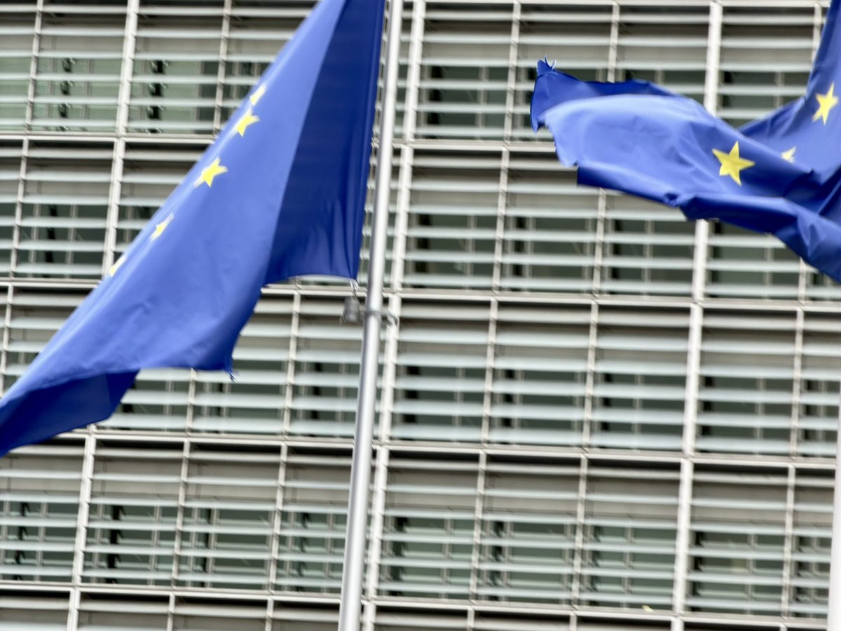 Ruben Sans Solsona tweet media