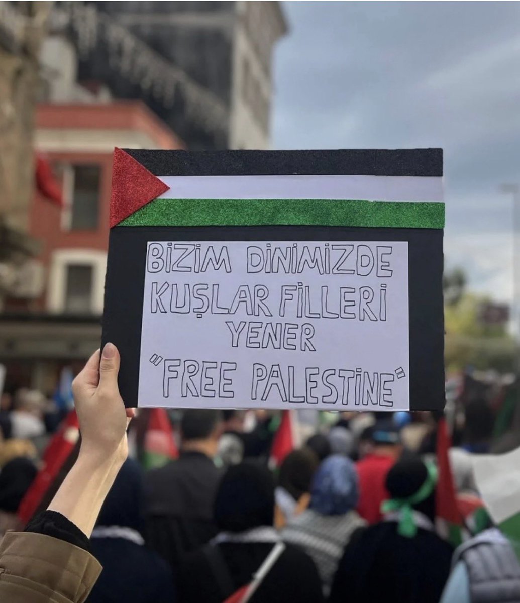 TurgayTurkogluu's tweet photo. Bizim dinimizde ‘Kuşlar, filleri yener.’ 

#FreePalestine #IsRealTerrorist #MyAgendaSumud #Gaza https://t.co/g04zSbFHEb