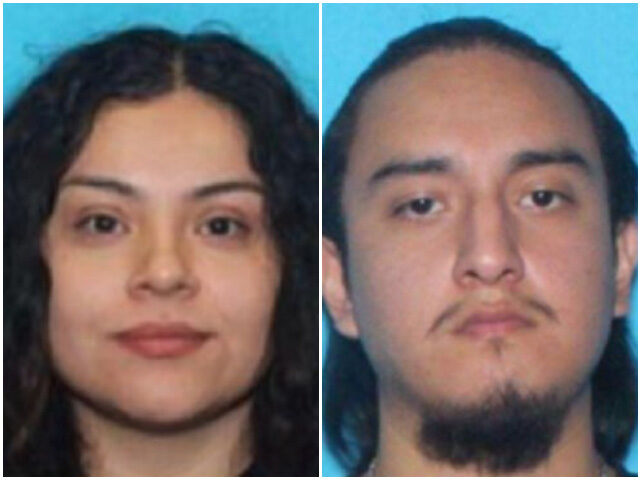 marinamillern tweet media