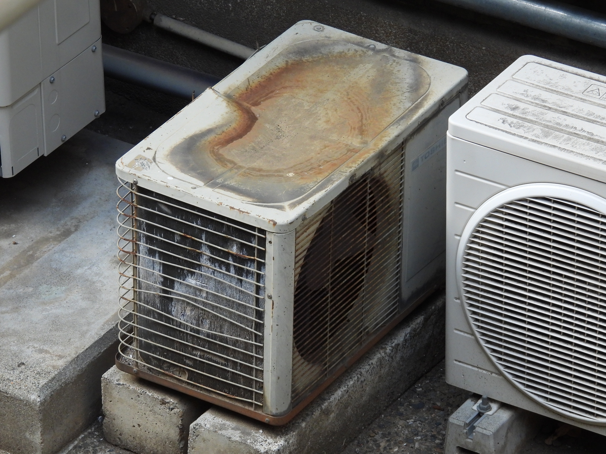 nico.5児のおっかっしゃん　室外機 楽天市場】お買いものマラソン開催中 送料無料自転車 後ろ子供
