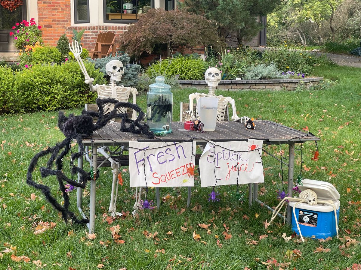 BarbMcQuade's tweet image. It’s October and the #skeletoncrew is back for another season! Fresh squeezed spider juice, anyone? ￼