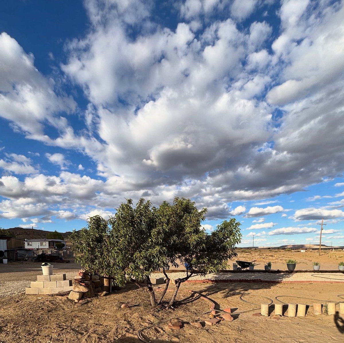 VisitHopi's tweet image. Beautiful views from the Hopi Nation. #adventureculture
#hopitribe #winslow #route66 #GrandCanyon #vacation #travelgram #explore #traveling #traveler