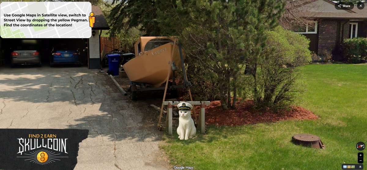 Skullcoin Studio tweet media