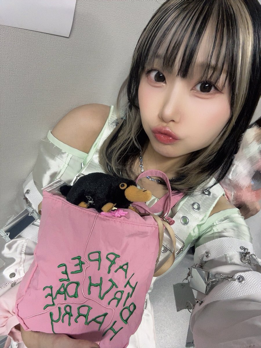 黒いのが二フラーだよ〜＾＾ ハリーポッター大好きこれはファンタビ