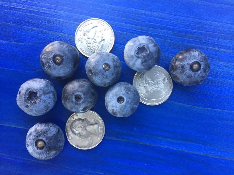 Hartley OEC tweet media