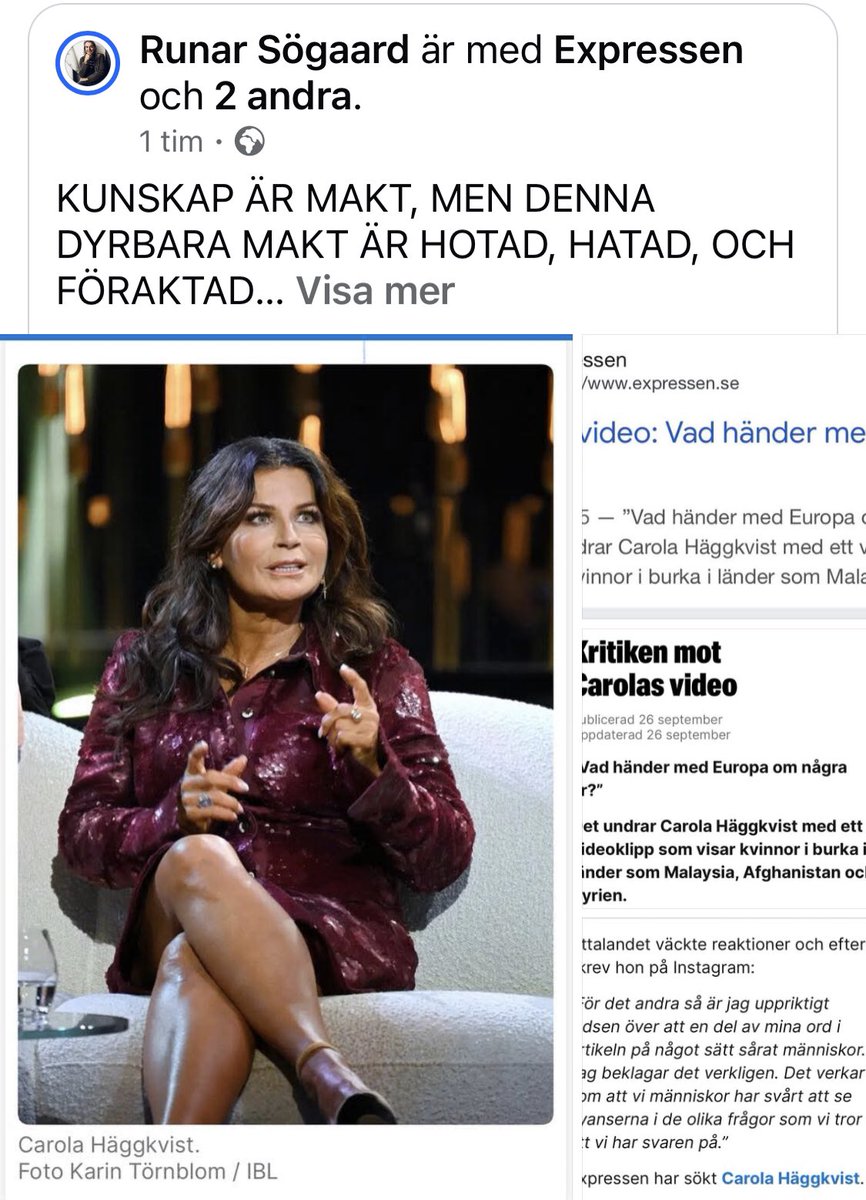 MIN SENASTE ARTIKEL OM CAROLA OCH HUR EUROPA OCH EU GÅR ÅT HELVETE…!