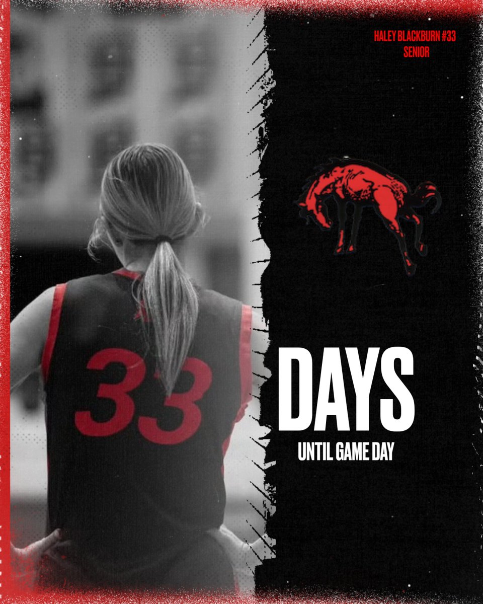 Lafayette Jeff Girls Basketball tweet media