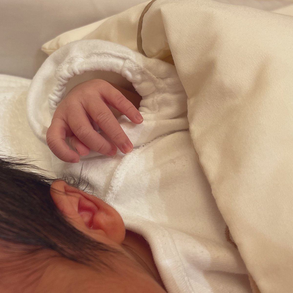 みかこ tweet media