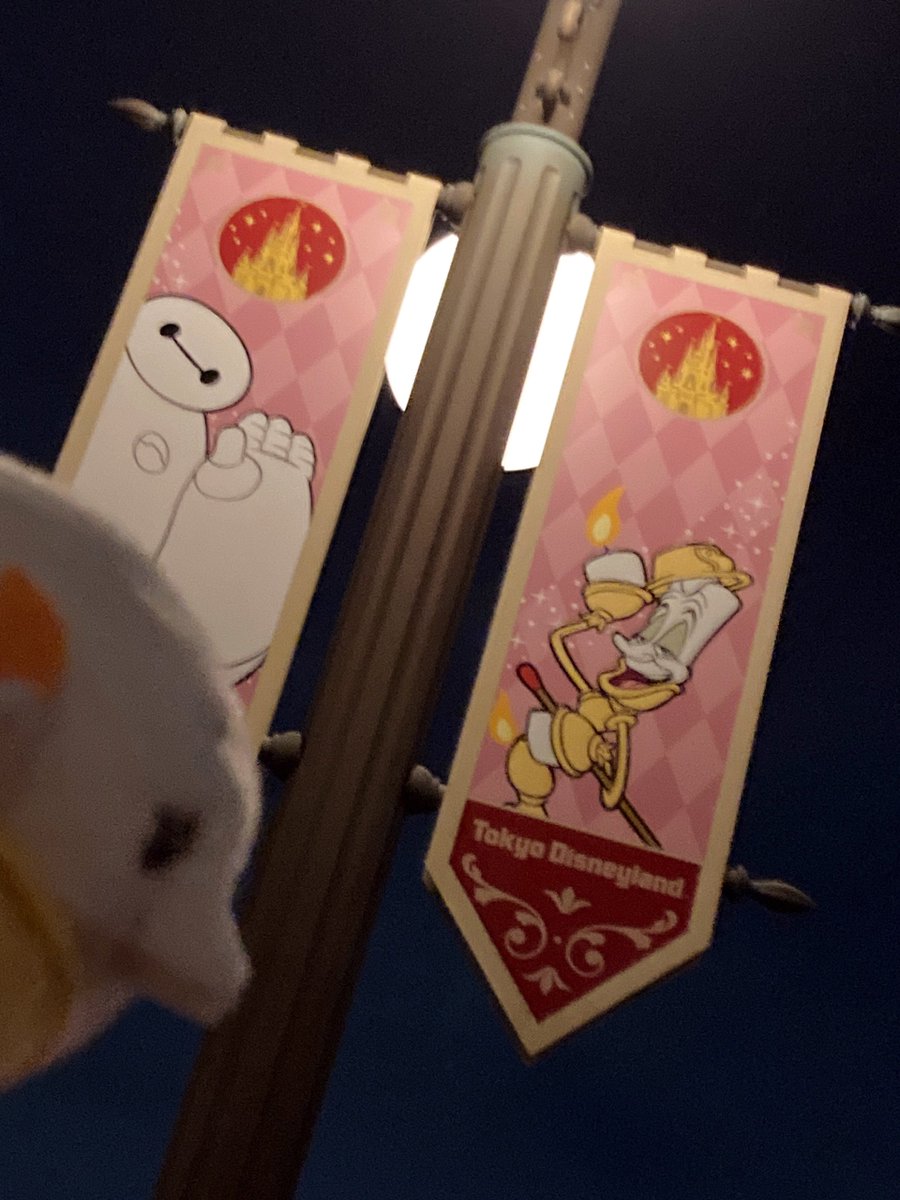 巻き貝♡様 Amazon.co.jp: HiPlay : 蝸の殻