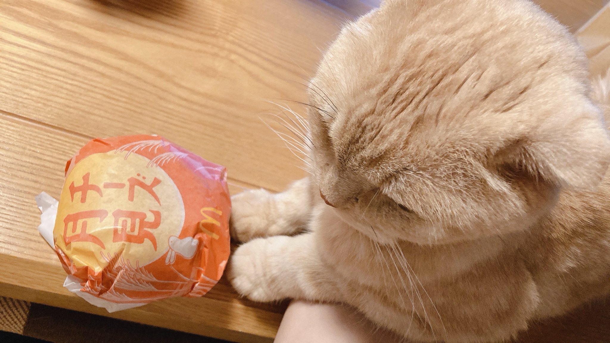 ネコハチさま専用　 おまとめ20点 ネコハチさま専用 おまとめ20点 ネコハチさま専用 おまとめ20点