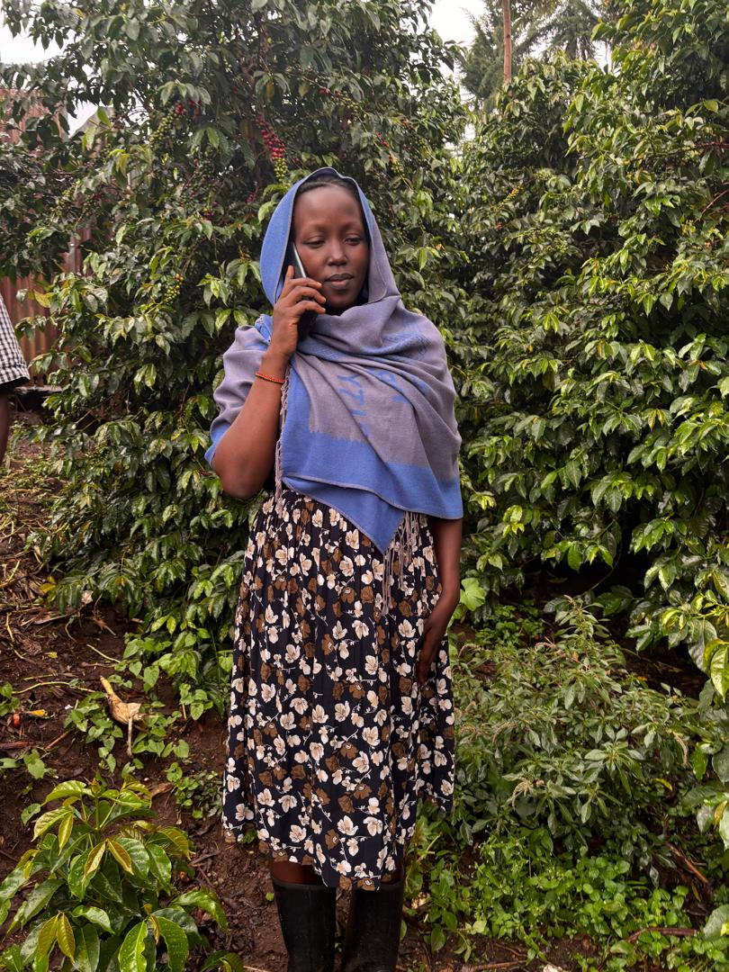 The current conversations are: how many bags? How's the quality?... This Year's coffee business is not for the faint hearted! <a href="/CoffeeUganda/">MAAIF_Coffee Production & Development Dept</a> <a href="/KapchorwaDLG/">Kapchorwa District Local Government</a>