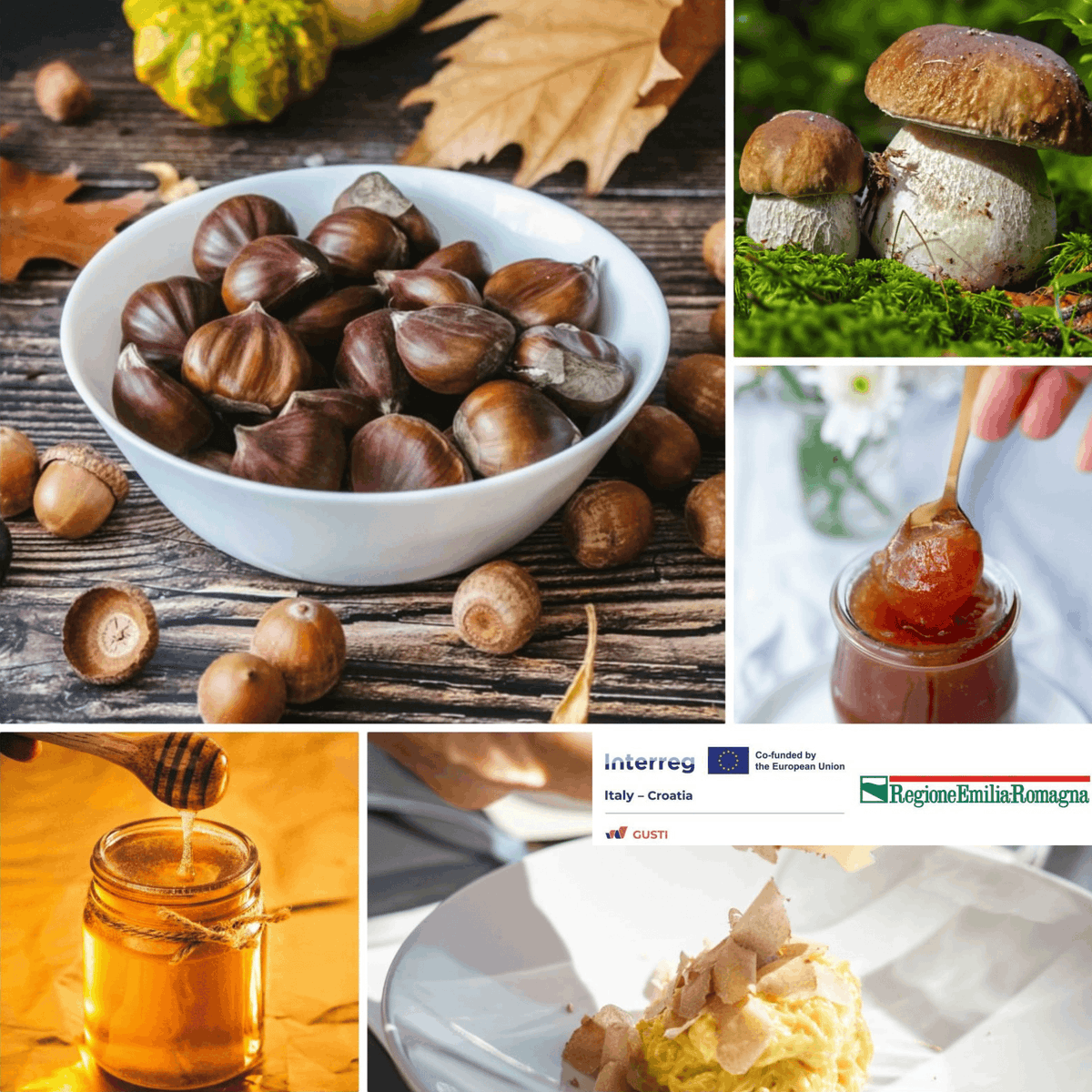 IniziativeTuristiche tweet media