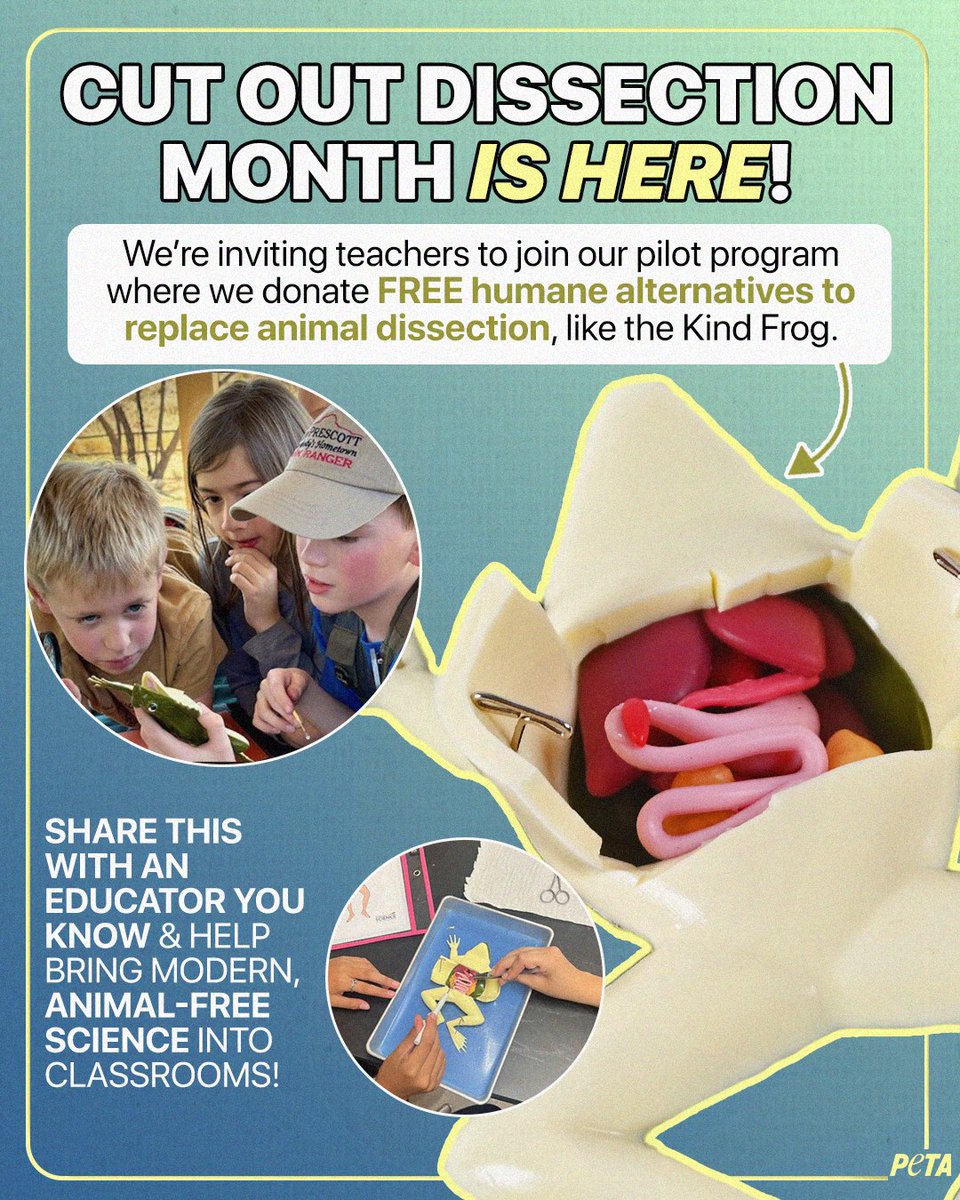 peta's tweet photo. Why cut open animals when Kind Frog can teach the same lessons, but better? 🐸✨
Join us in celebrating #CutOutDissectionMonth by helping teachers bring humane, modern science into classrooms with TeachKind’s Pilot Program👉 https://t.co/b1fKY0ptgP https://t.co/hIseFZBzIk