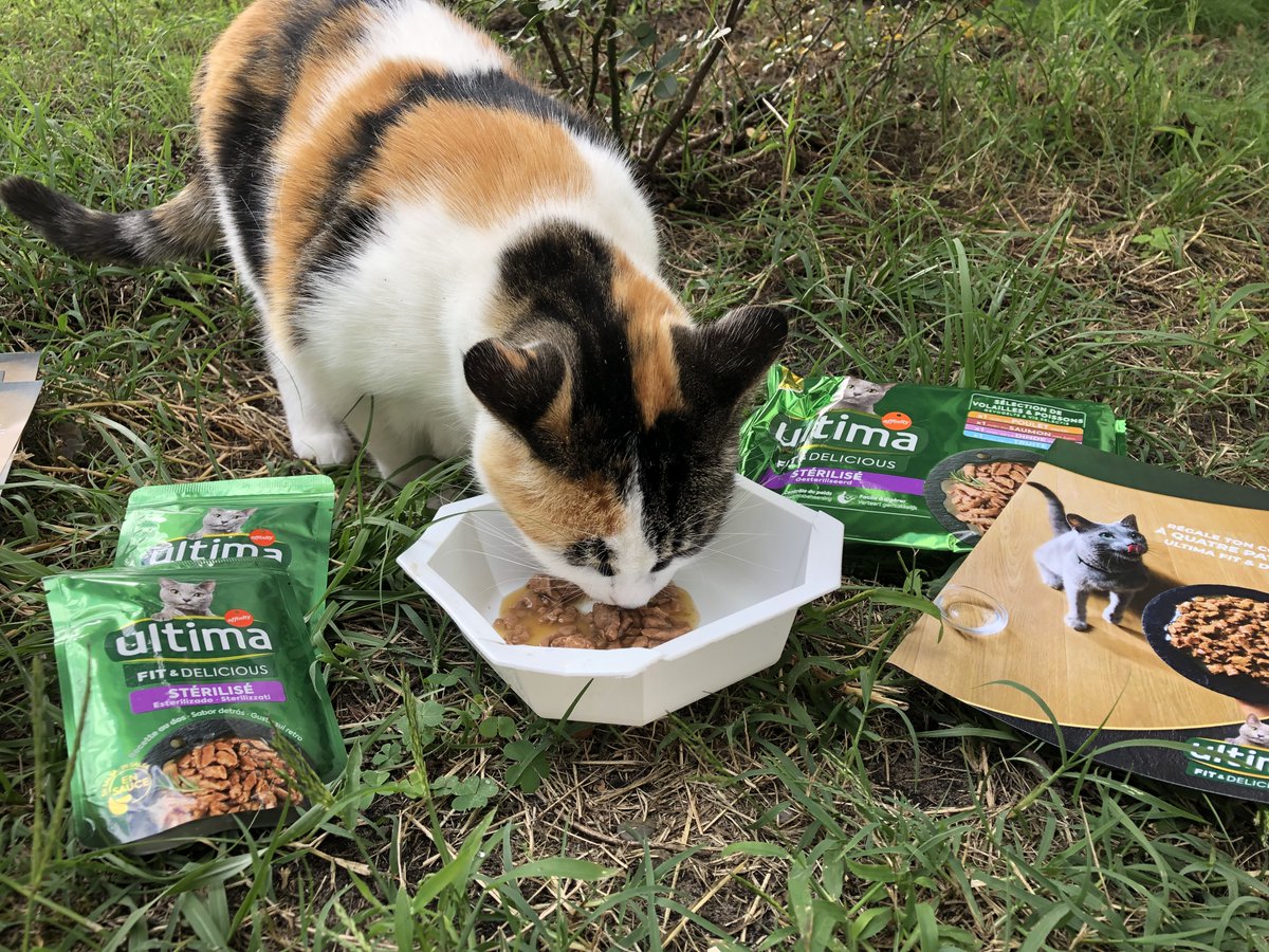 les4lezards's tweet photo. #collaborationcommercialenonremuneree
 #produitoffert #ultimafitanddelicious https://t.co/ZxA770DWUe