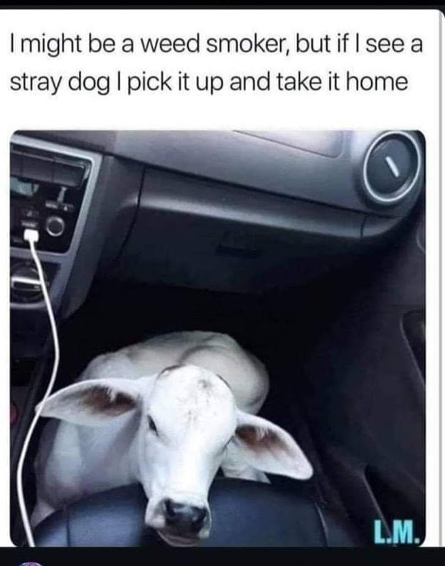 Morning 
Have yourselves a peaceful day folks 👊