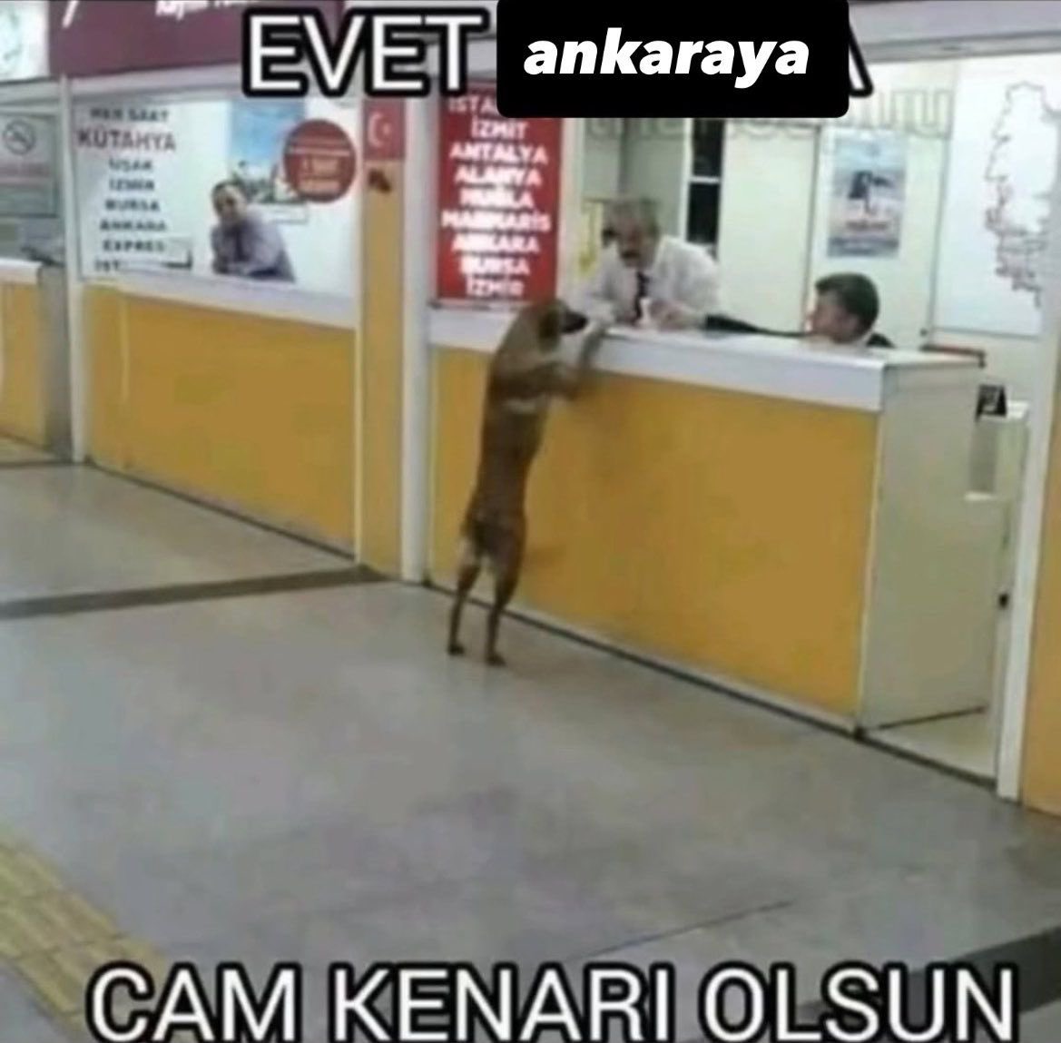 evet otobüscü abi ankaraya cam kenarı olsun