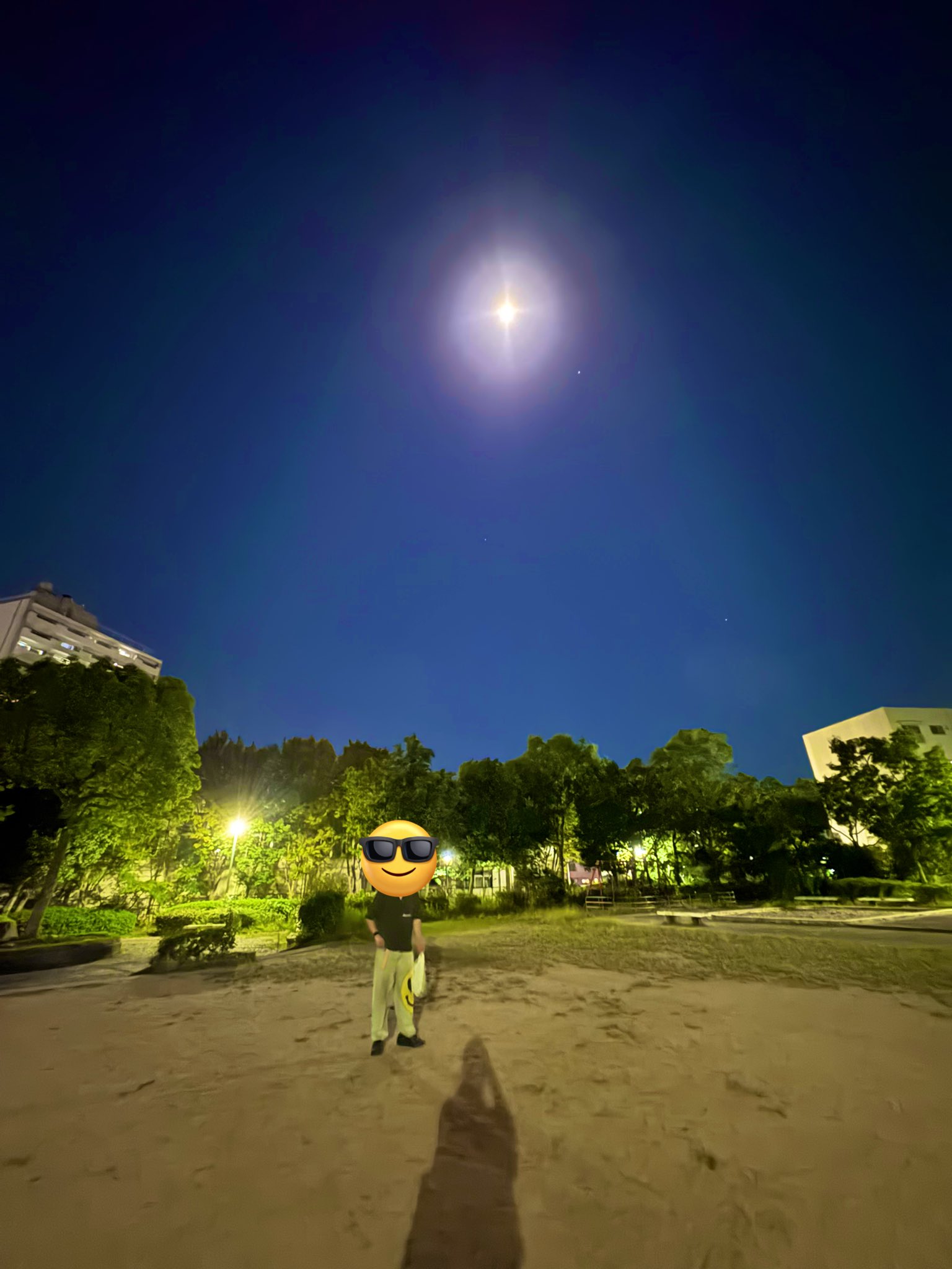 夜 Ninja ZX-6R(2014)を1,000km試乗。凶暴な性格を隠す穏やかな