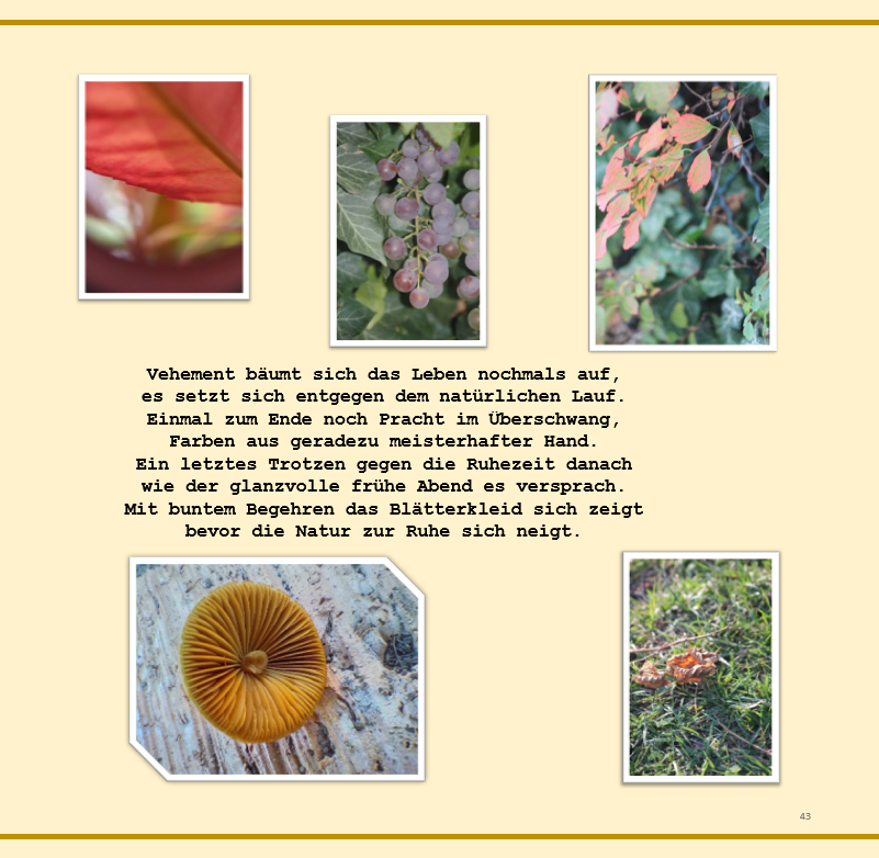 HarryA_Medic's tweet photo. Heute ein kleiner 'sneak peek' für euch!
Coming soon!
Facetten der Jahreszeiten - Farbenfrohe Wunder der Natur
Kommt gut durch die Woche
#harryamedic #autorin #neuesbuch #comingsoon #bildband #gedichte #jahreszeiten #außergewöhnlichebücher https://t.co/OkqadJUjRr