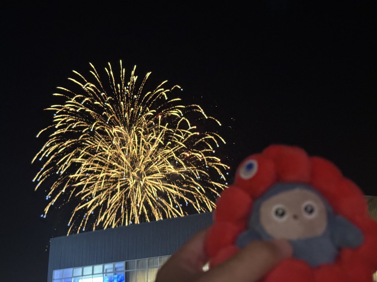 写真下手くそ選手権ぴっと君with花火でちゅ🎆