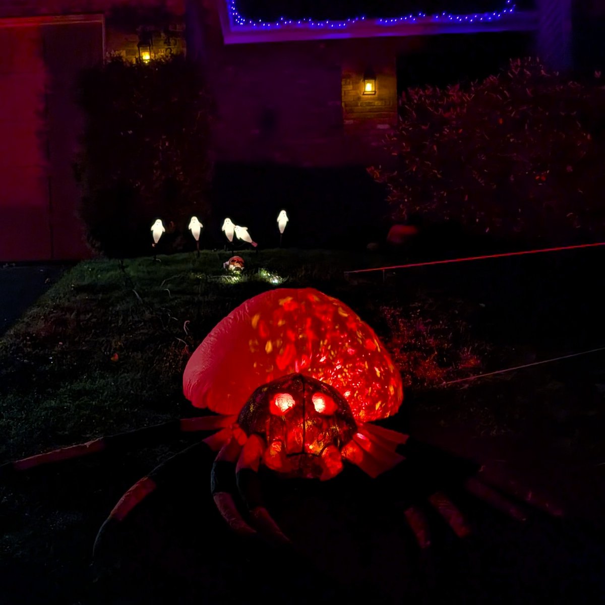 Morning Walk: 3.57 miles (5.7 km) Foggy and cold. Saw 3 dogs and 1 cat. Listened to an audiobook on Libby: Lifeform by Jenny Slate