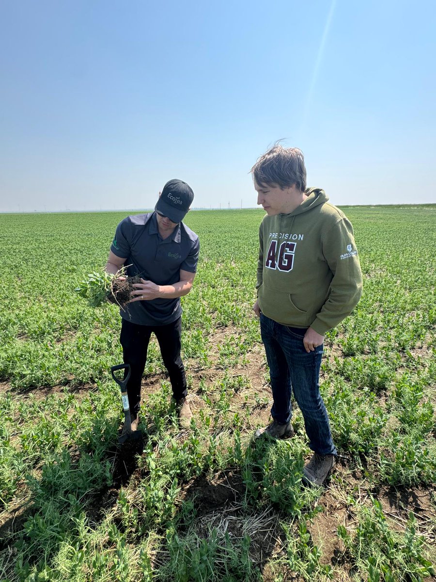EcoTea_Ag's tweet photo. A recap from our season out in the field- assisting in applications, checking on crops, soil testing, visiting friends and distribution partners, trade shows, a little bit of everything! https://t.co/M553DiF0gB