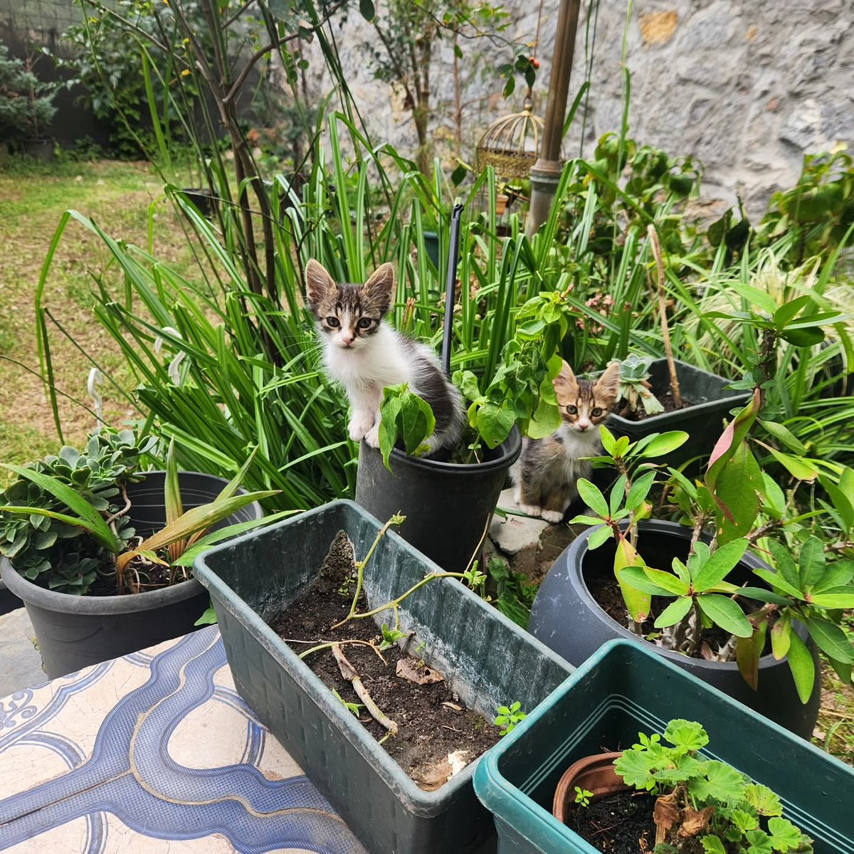 Evlatlar...❤️🧿