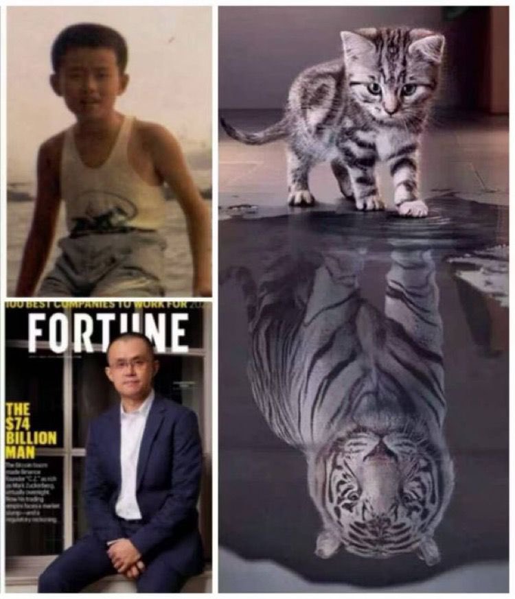 CZ 👉 The legend himself  the journey from a curious cat to a fearless Tiger🐅 ! 
Through storms, trials, and the wild jungles of crypto, he roared his way to the throne becoming not just the Tiger of Binance, but the King of Crypto itself! 
💥 Today, we honor his legacy with