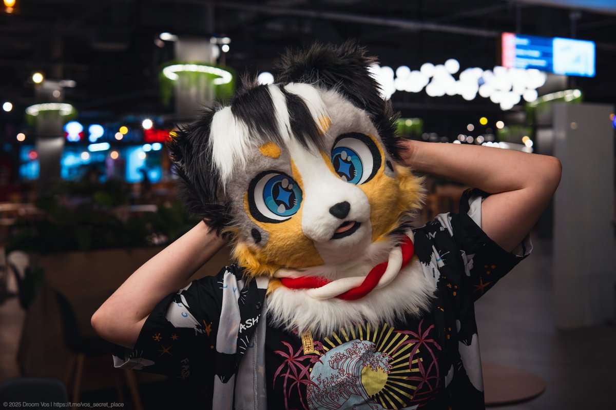 CFerretCraft's tweet photo. Still on sale! 🥰
#fursuit #fursuitonsale #fursuitsale #kemono #furry #furryfandom https://t.co/2BCoKK78GT
