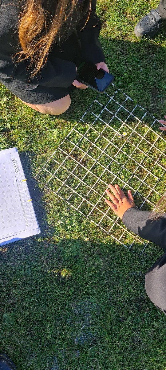 pumpkinfaeries's tweet image. Y7 #Fieldwork looking at the #Biodiversity of the playing field - low or high? All good #GeographyTeachers are on trend and match with the local #Ladybirds, no?? #GetOutside 🤣🫶✌️💚🌍