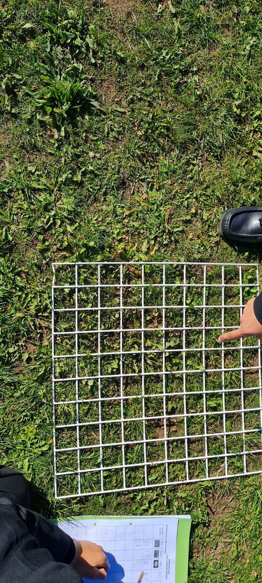 pumpkinfaeries's tweet image. Y7 #Fieldwork looking at the #Biodiversity of the playing field - low or high? All good #GeographyTeachers are on trend and match with the local #Ladybirds, no?? #GetOutside 🤣🫶✌️💚🌍
