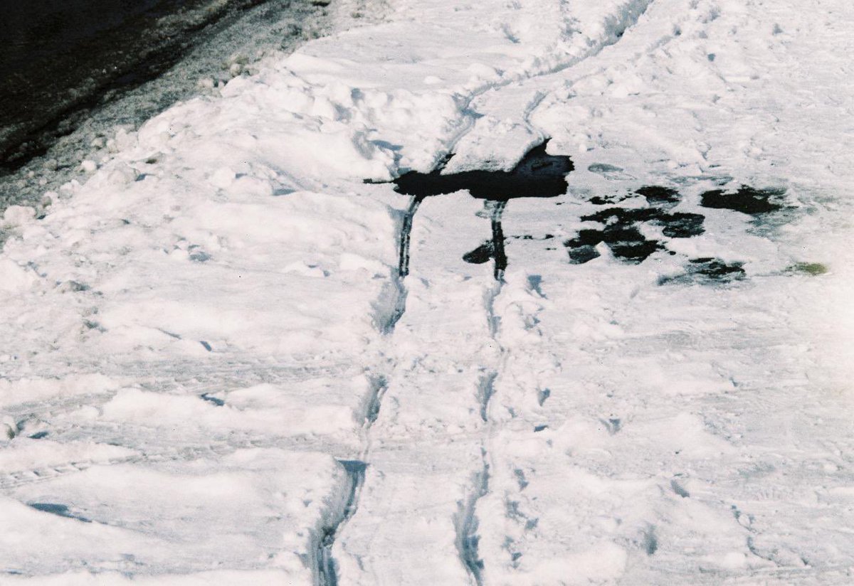 ametosai's tweet image. 