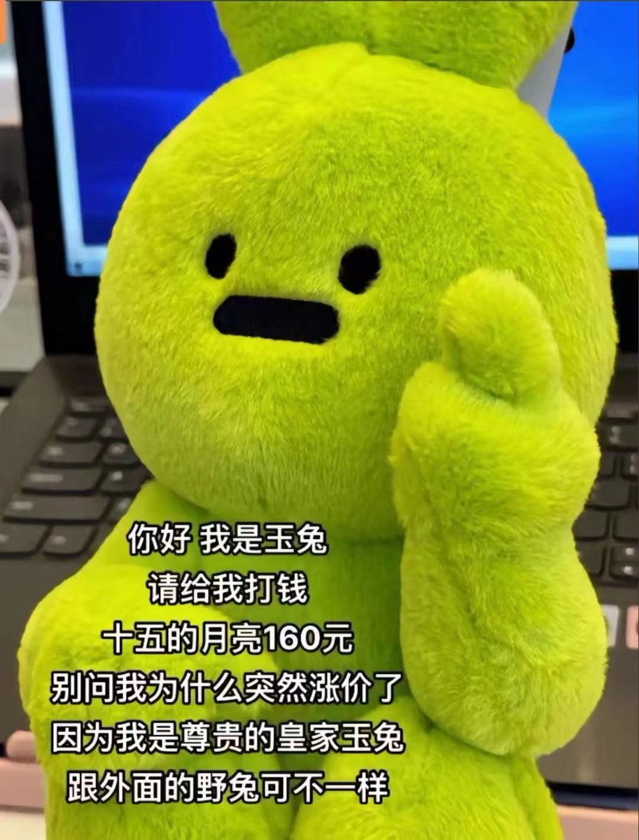 Aurelia🪼 tweet media