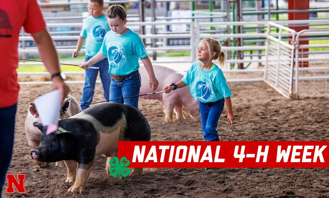 wcreec's tweet image. National 4-H Week is here! 🍀 
This week we recognize the next generation of leaders—  Nebraska 4-H youth who are making a difference in their communities every day. 🎉
