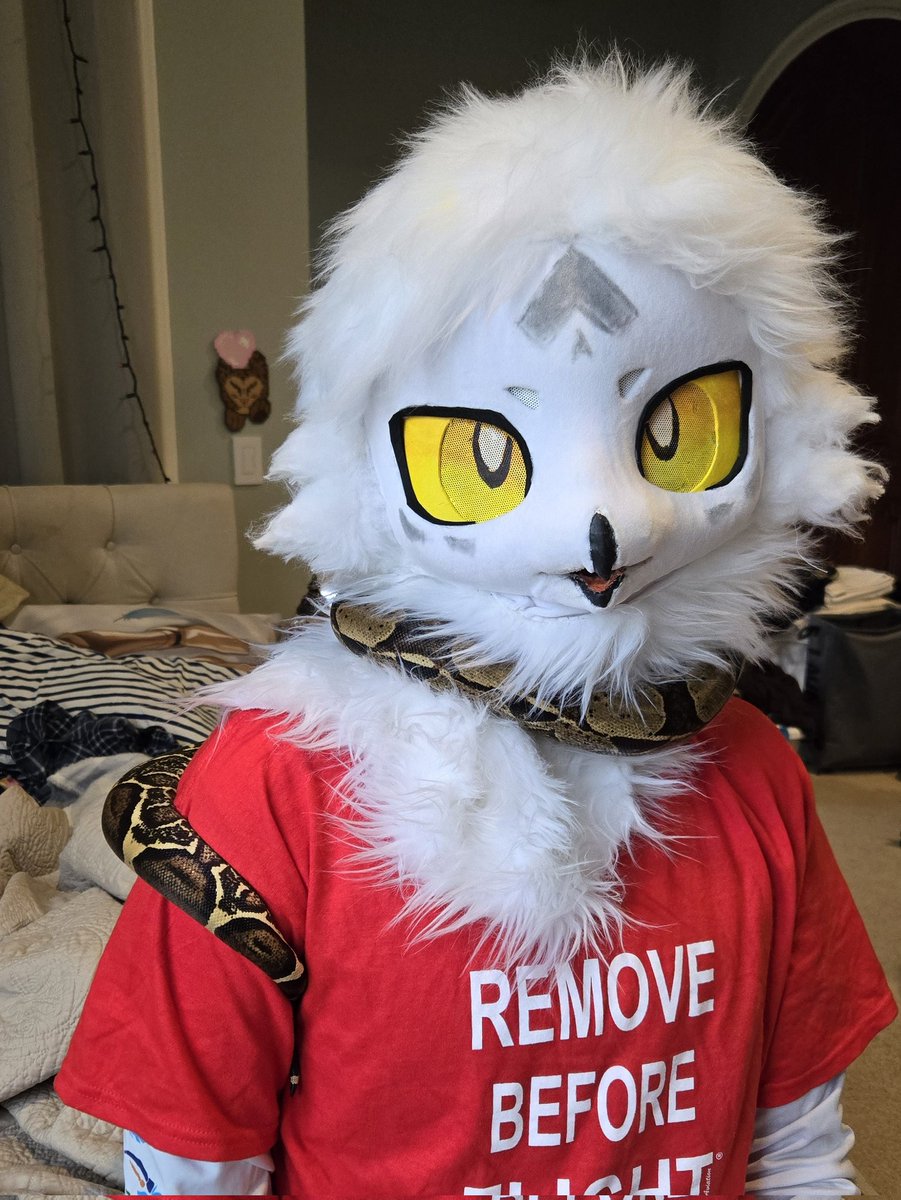 Nikita (cmms OPEN) (@brinep00l) on Twitter photo Us against the world 🐍🦉 Us against the world 🐍🦉