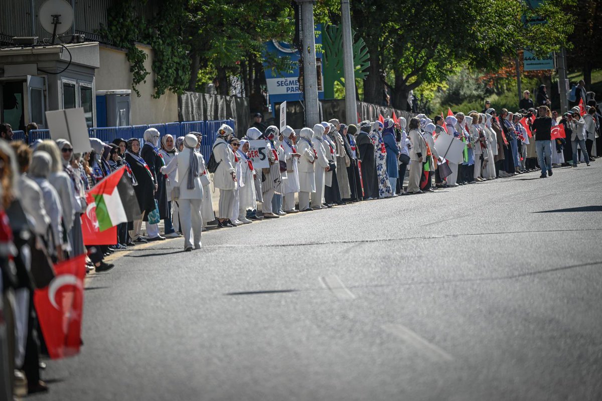 Tuğba IŞIK ERCAN tweet media