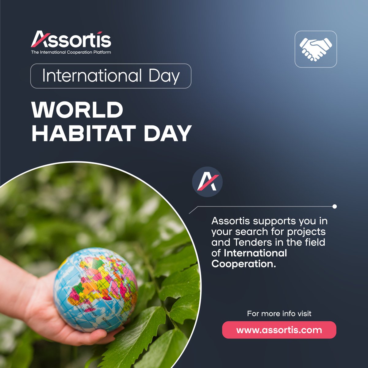 Assortis tweet media