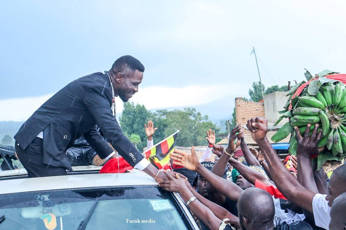 BOBI WINE tweet media