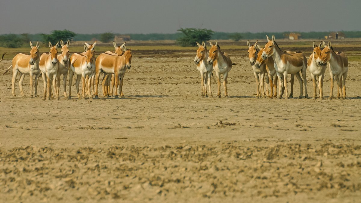 Mike Prince tweet media