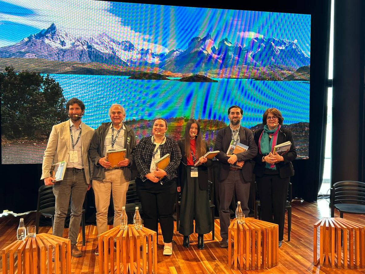 Fundación Sur Futuro tweet media