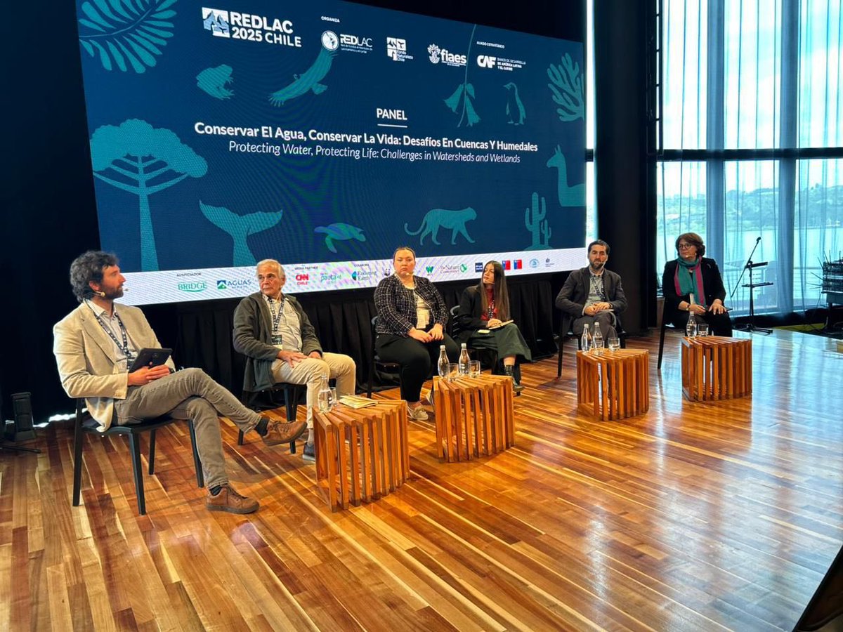 Fundación Sur Futuro tweet media