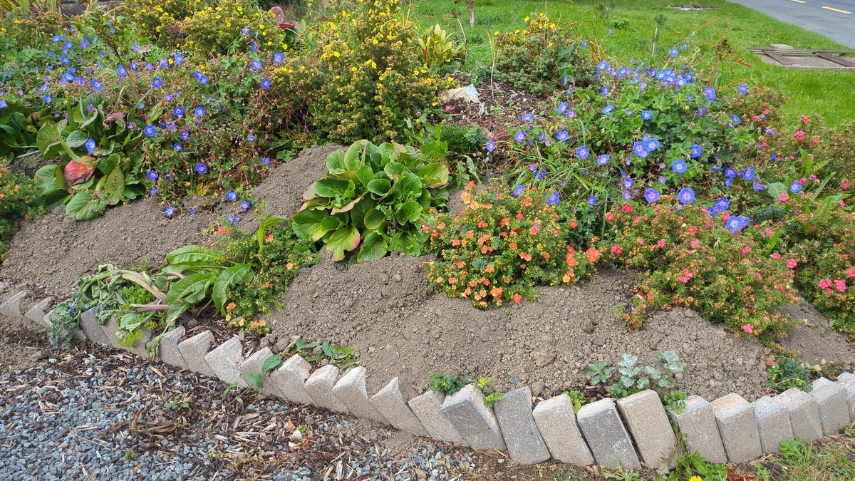 Some individual is  dumping soil on flower beds in  Julianstown Community Garden. Please stop as you are killing our flowers by covering them.